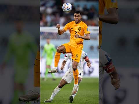 Gakpo v Weghorst: Best Netherlands Header? 2022 World Cup